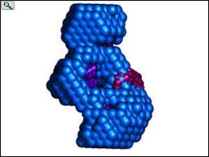 Click for larger image