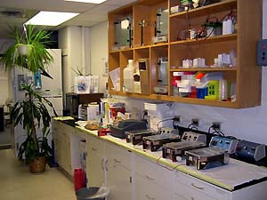 lab_labspace7415.jpg