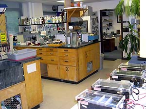 lab_labspace7415c.jpg