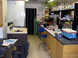 lab_labspace7418c.jpg