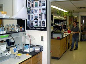 lab_labspace7418d.jpg