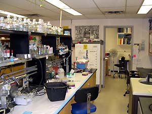 lab_labspace7418f.jpg