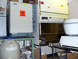 lab_tisseuculture.jpg