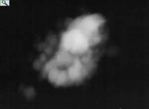 Intact Editosome